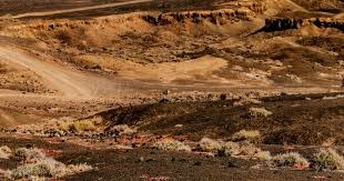 《泰拉瑞亚》1.4.5版本更新正式定档：1月27日上线！