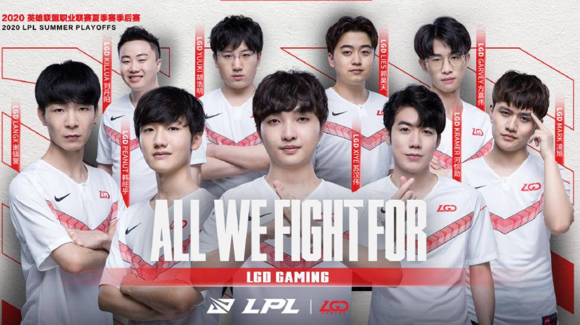 领域的投入 领域的投入