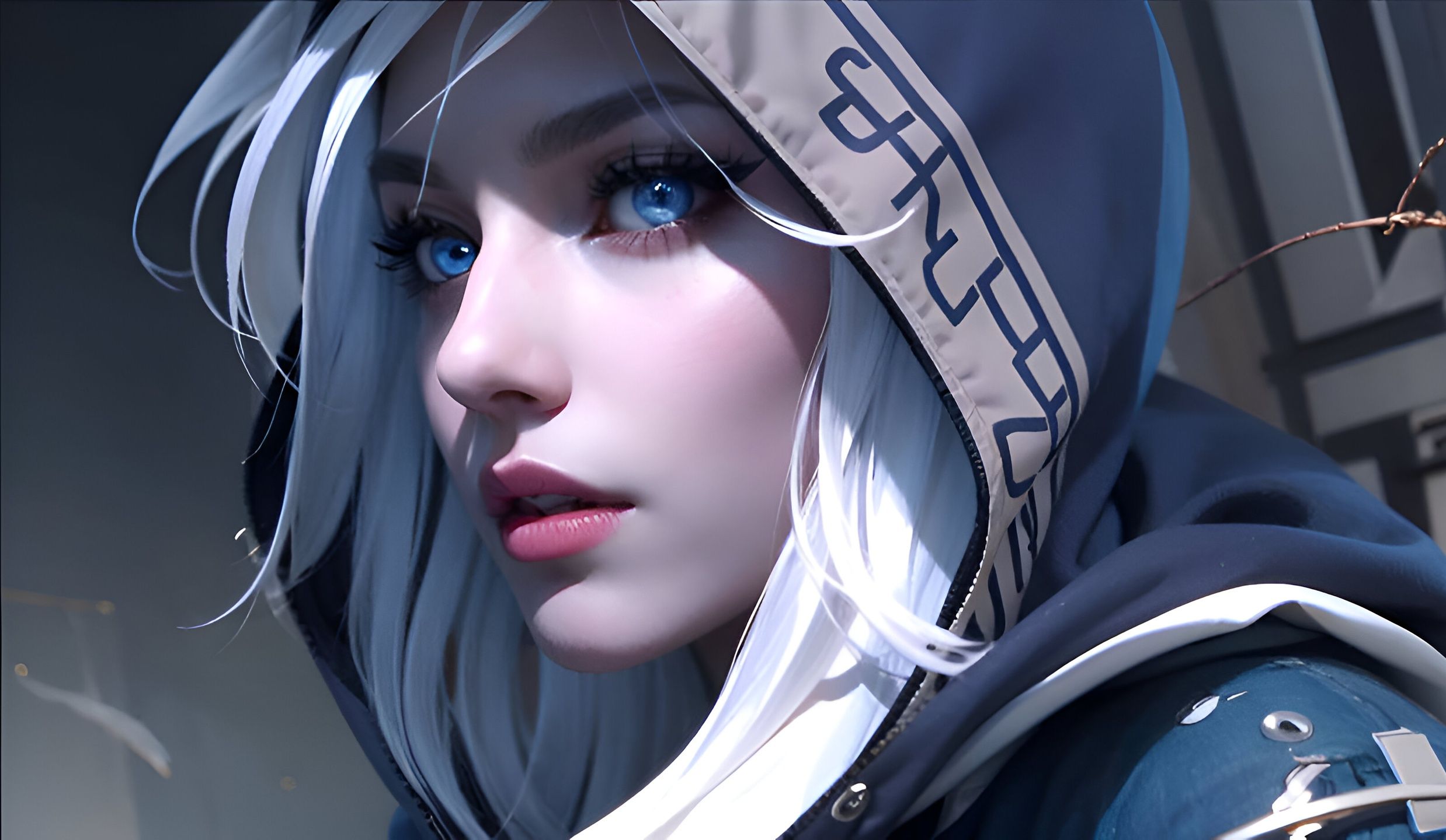 尔联队享有 尔联队享有