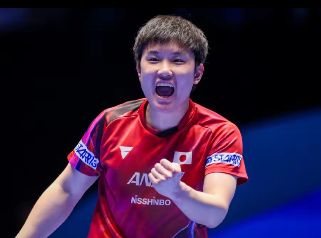 向世界展示 向世界展示